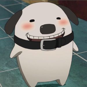 Meet your Posher, Louis